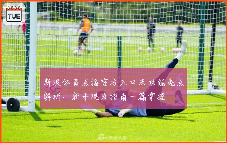 新浪体育点播官方入口及功能亮点解析，新手观看指南一篇掌握