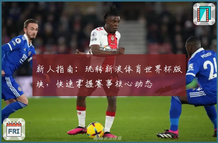 新人指南：玩转新浪体育世界杯版块，快速掌握赛事核心动态