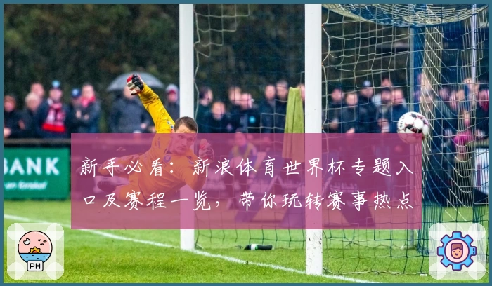 新手必看：新浪体育世界杯专题入口及赛程一览，带你玩转赛事热点