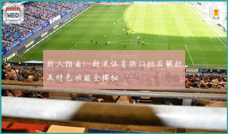 新人指南：新浪体育热门栏目解析及特色功能全揭秘