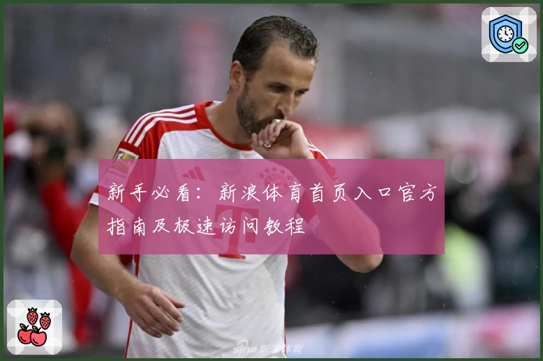 新手必看：新浪体育首页入口官方指南及极速访问教程