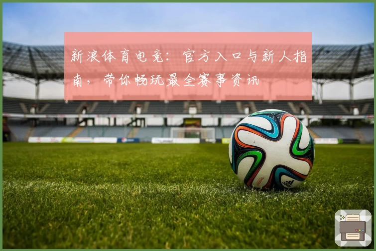 新浪体育电竞：官方入口与新人指南，带你畅玩最全赛事资讯