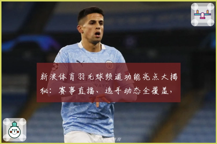 新浪体育羽毛球频道功能亮点大揭秘：赛事直播、选手动态全覆盖，爱好者必看！