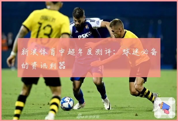 新浪体育中超年度测评：球迷必备的资讯利器