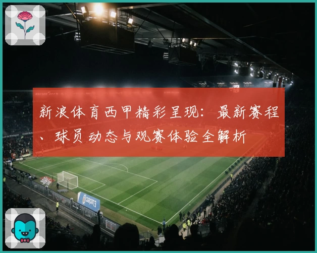 新浪体育西甲精彩呈现：最新赛程、球员动态与观赛体验全解析