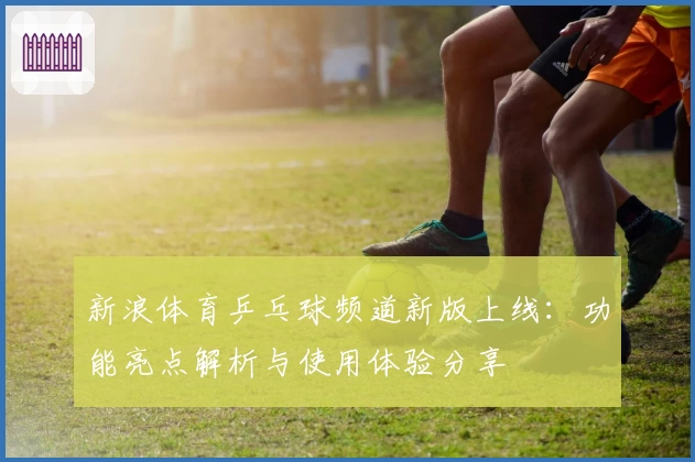 新浪体育乒乓球频道新版上线：功能亮点解析与使用体验分享