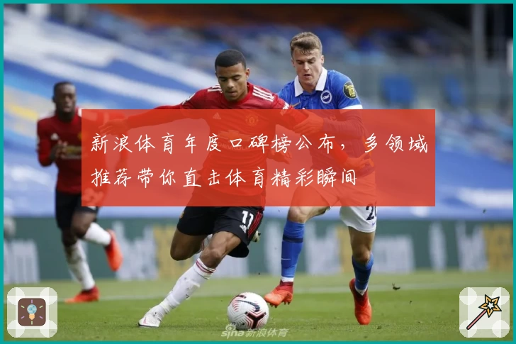 新浪体育年度口碑榜公布，多领域推荐带你直击体育精彩瞬间