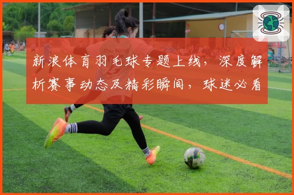 新浪体育羽毛球专题上线，深度解析赛事动态及精彩瞬间，球迷必看新人指南