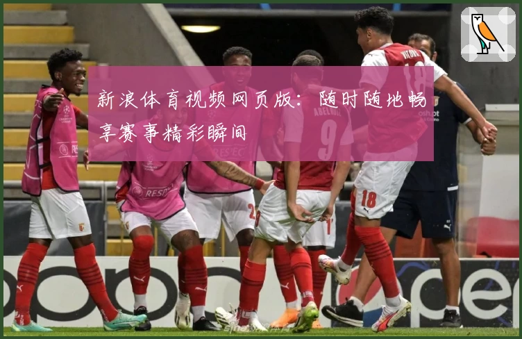 新浪体育视频网页版：随时随地畅享赛事精彩瞬间